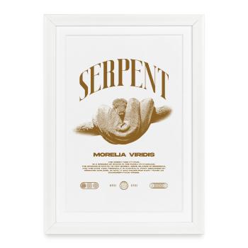Green Tree Python Modern Reptile Keeper Streetwear - Gerahmtes Poster (27 × 37 cm) - Weiß - Vorne