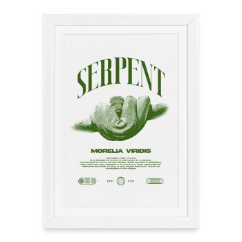 Green Tree Python Modern Reptile Keeper Streetwear - Gerahmtes Poster (27 × 37 cm) - Weiß - Vorne