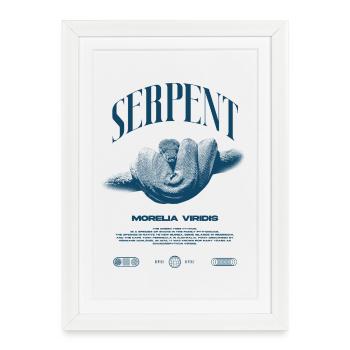Green Tree Python Modern Reptile Keeper Streetwear - Gerahmtes Poster (27 × 37 cm) - Weiß - Vorne
