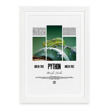 Green Tree Python Modern Reptile Keeper Streetwear - Gerahmtes Poster (27 × 37 cm) - Weiß - Vorne