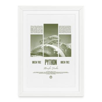 Green Tree Python Modern Reptile Keeper Streetwear - Gerahmtes Poster (27 × 37 cm) - Weiß - Vorne