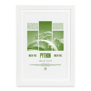 Green Tree Python Modern Reptile Keeper Streetwear - Gerahmtes Poster (27 × 37 cm) - Weiß - Vorne