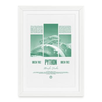 Green Tree Python Modern Reptile Keeper Streetwear - Gerahmtes Poster (27 × 37 cm) - Weiß - Vorne