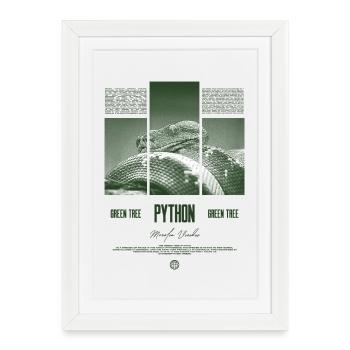 Green Tree Python Modern Reptile Keeper Streetwear - Gerahmtes Poster (27 × 37 cm) - Weiß - Vorne