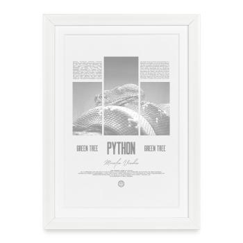 Green Tree Python Modern Reptile Keeper Streetwear - Gerahmtes Poster (27 × 37 cm) - Weiß - Vorne