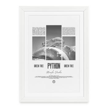 Green Tree Python Modern Reptile Keeper Streetwear - Gerahmtes Poster (27 × 37 cm) - Weiß - Vorne