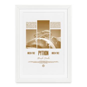 Green Tree Python Modern Reptile Keeper Streetwear - Gerahmtes Poster (27 × 37 cm) - Weiß - Vorne