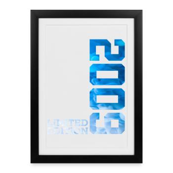 17TH BIRTHDAY LIMITED EDITION 2009 - Framed poster (27 × 37 cm) - black - Front