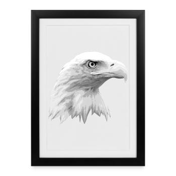 Tête d’aigle, pygargue à tête blanche, aigle, oiseau de proie - Affiche encadrée (27 × 37 cm) - noir - Devant
