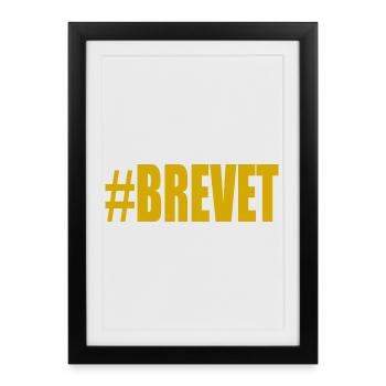 FERRY. BACCALAUREAT. PATENT. DNB. EXAMINATION. WELL DONE - Framed poster (27 × 37 cm) - black - Front