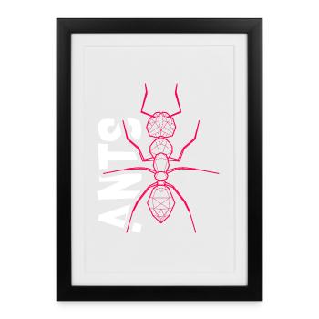 Winzige Ameise Insektenkolonie - Gerahmtes Poster (27 × 37 cm) - Schwarz - Vorne