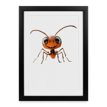 fourmi fourmi de forêt fourmi de feu insecte fourmis mignonnes - Affiche encadrée (27 × 37 cm) - noir - Devant