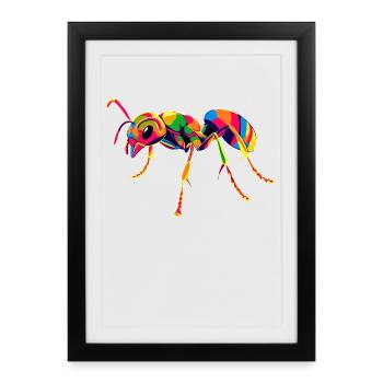 fourmi fourmi de forêt fourmi de feu insecte fourmis mignonnes - Affiche encadrée (27 × 37 cm) - noir - Devant