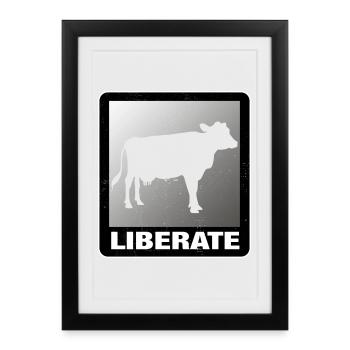 Liberate Vegan Animal Liberation Kuh - Gerahmtes Poster (27 × 37 cm) - Schwarz - Vorne