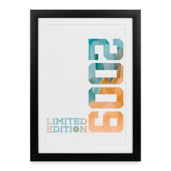 17TH BIRTHDAY LIMITED EDITION 2009 - Framed poster (27 × 37 cm) - black - Front