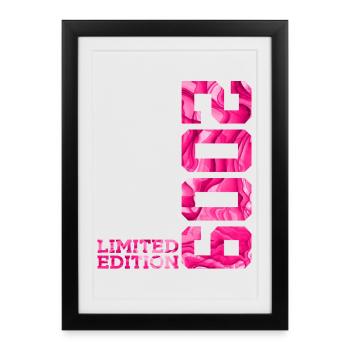 17E ANNIVERSAIRE ÉDITION LIMITÉE ROSE 2009 - Affiche encadrée (27 × 37 cm) - noir - Devant