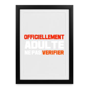 Officiellement adulte ne pas vérifier - Affiche encadrée (27 × 37 cm) - noir - Devant