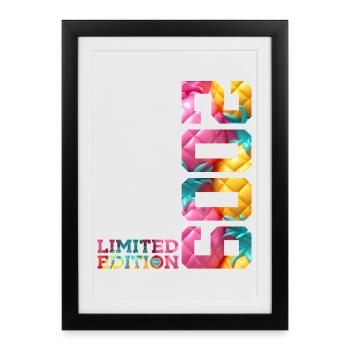 17TH BIRTHDAY LIMITED EDITION 2009 - Framed poster (27 × 37 cm) - black - Front
