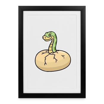 Faszinierende Python Würgeschlange - Gerahmtes Poster (27 × 37 cm) - Schwarz - Vorne