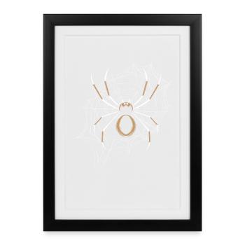 Spinnenliebhaber Spinnenflüsterer Arachnid Tarantu - Gerahmtes Poster (27 × 37 cm) - Schwarz - Vorne