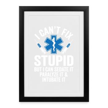 Ich kann Dummes nicht reparieren, aber ich kann es sedieren – Sanitäter - Gerahmtes Poster (27 × 37 cm) - Schwarz - Vorne