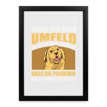 Pandemie hatte Vorteile – Golden Retriever - Gerahmtes Poster (27 × 37 cm) - Schwarz - Vorne