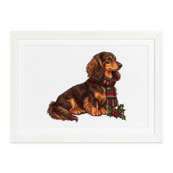 Weihnachtsdackel mit Schal - Gerahmtes Poster (37 × 27 cm) - Weiß - Vorne
