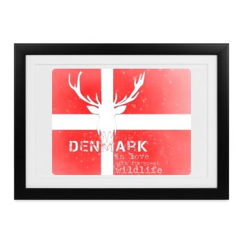 Dämark Wildtiere Denmark wildlife - Gerahmtes Poster (37 × 27 cm) - Schwarz - Vorne