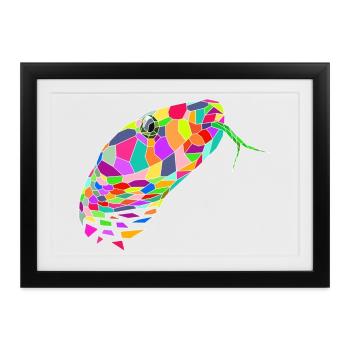 Schlange farbig - Gerahmtes Poster (37 × 27 cm) - Schwarz - Vorne