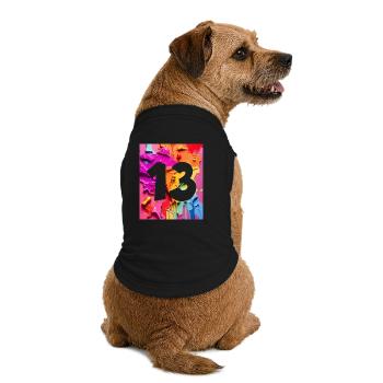 NON. 13 NUMÉRO 13 COLORÉ 13E ANNIVERSAIRE - T-shirt bio premium pour chien - noir - Dos