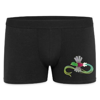 Prachtvolles Quetzal – Heil dem Schwanz - Männer Boxer Shorts - Schwarz - Vorne