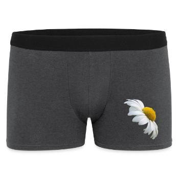 Margeriten Margerite weiße Blume Gänseblume - Männer Boxer Shorts - Anthrazit - Vorne