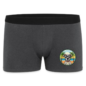 Alte dänische Pointer Hunderasse Cartoon Sonnenbrille - Männer Boxer Shorts - Anthrazit - Vorne