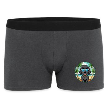 Schwarze russische Terrier Hunderasse Cartoon Sonnenbrille - Männer Boxer Shorts - Anthrazit - Vorne
