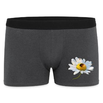Margerite Marienkäfer - Männer Boxer Shorts - Anthrazit - Vorne