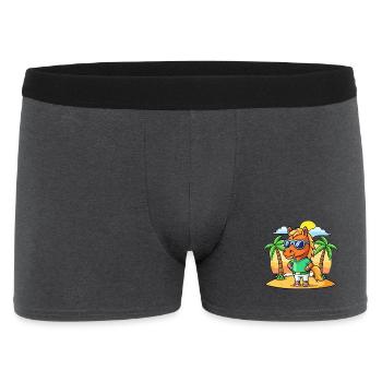Pferd Lustige Cartoon Sommer Strand Sonnenbrille - Männer Boxer Shorts - Anthrazit - Vorne