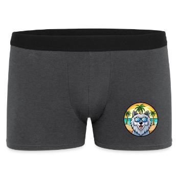 Polish Sheepdog Breed Cartoon Sunglass Beach - Men's Boxer Shorts - charcoal grey - Front