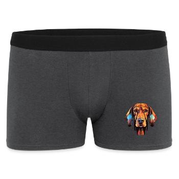 Schwarzwälder Hund Rasse Buntes Aquarell - Männer Boxer Shorts - Anthrazit - Vorne
