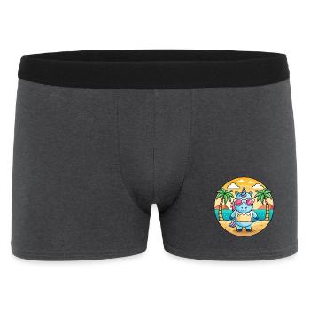 Licorne Funny Cartoon Summer Beach Lunettes de soleil - Boxer Homme - charbon - Devant