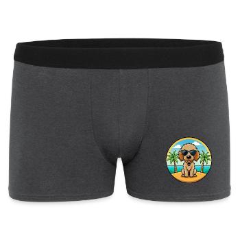 Spanisch Wasser Hund Rasse Cartoon Sonnenbrille Strand - Männer Boxer Shorts - Anthrazit - Vorne