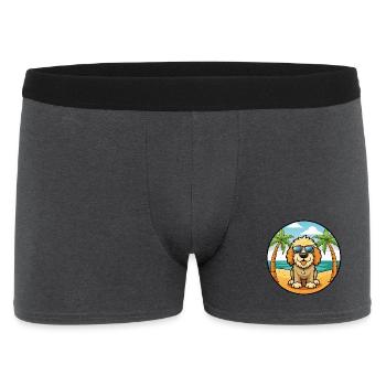 Spanisch Wasser Hund Rasse Cartoon Sonnenbrille Strand - Männer Boxer Shorts - Anthrazit - Vorne