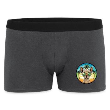 Inka Unbehaarte Hunderasse Cartoon Sonnenbrille Strand - Männer Boxer Shorts - Anthrazit - Vorne