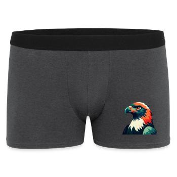 Falke Cartoon Figur Buntes Haustier Tier - Männer Boxer Shorts - Anthrazit - Vorne