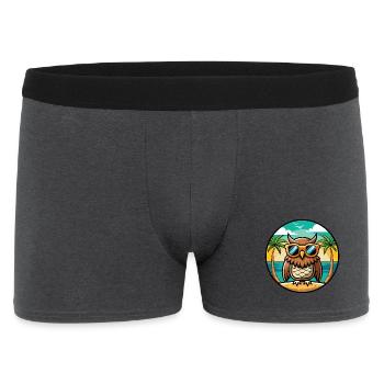 Eule Lustige Cartoon Sommer Strand Sonnenbrille Aufkleber - Männer Boxer Shorts - Anthrazit - Vorne