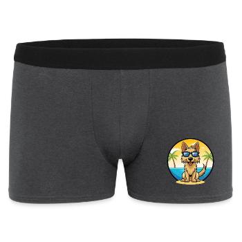 Berger Picard Hunderasse Cartoon Sonnenbrille Strand - Männer Boxer Shorts - Anthrazit - Vorne