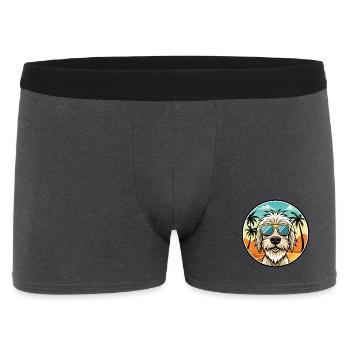 Spinone Italiano Dog Breed Cartoon Sunglass Beach - Men's Boxer Shorts - charcoal grey - Front