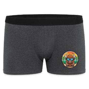 Bison Lustige Cartoon Sommer Strand Sonnenbrille Cool - Männer Boxer Shorts - Anthrazit - Vorne