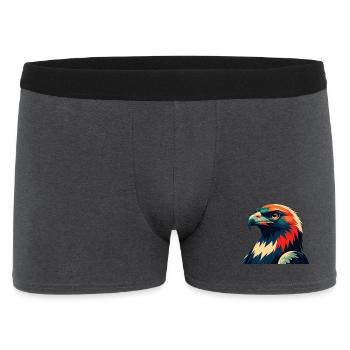Falke Cartoon Figur Buntes Haustier Tier - Männer Boxer Shorts - Anthrazit - Vorne
