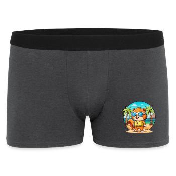 Squirrel Funny Cartoon Summer Beach Sunglasses - Men's Boxer Shorts - charcoal grey - Front