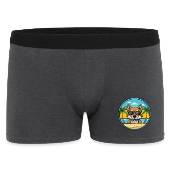 Tiroler Bracke Hunderasse Cartoon Sonnenbrille Strand - Männer Boxer Shorts - Anthrazit - Vorne